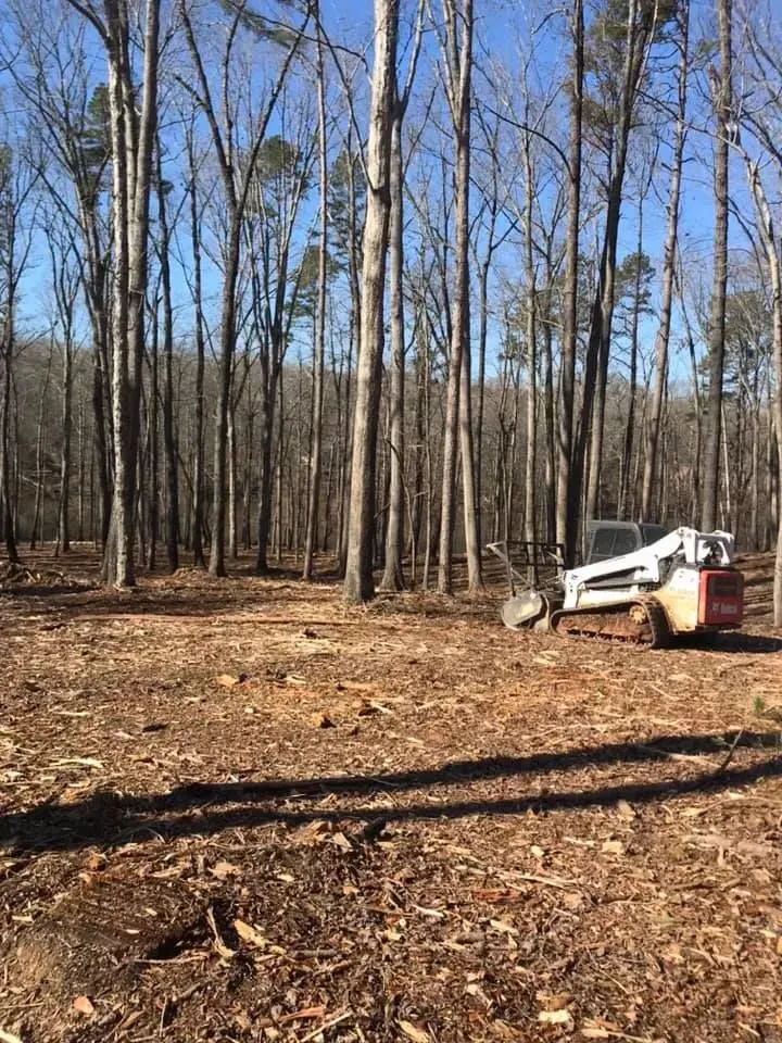 A white skid steer loader clears brush in a forest with tall, bare trees on a sunny day.