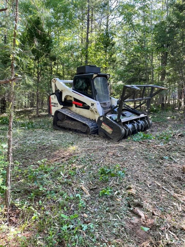 A felled tree trunk lies on the grass near a chainsaw and a red skid-steer loader in a wooded area.