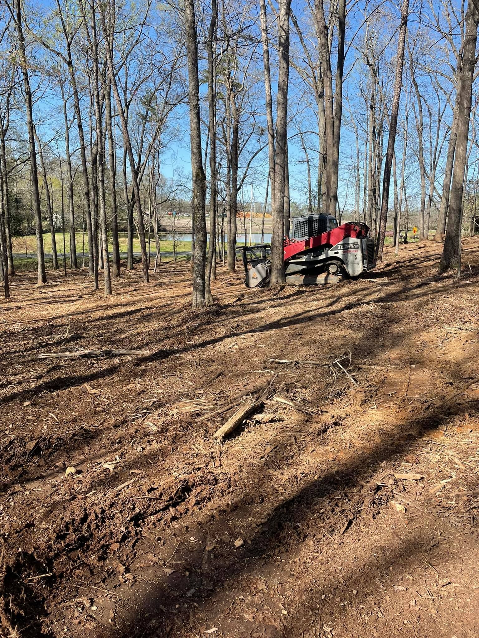 A red forestry mulcher works in a sunny, wooded area, clearing brush from the forest floor.