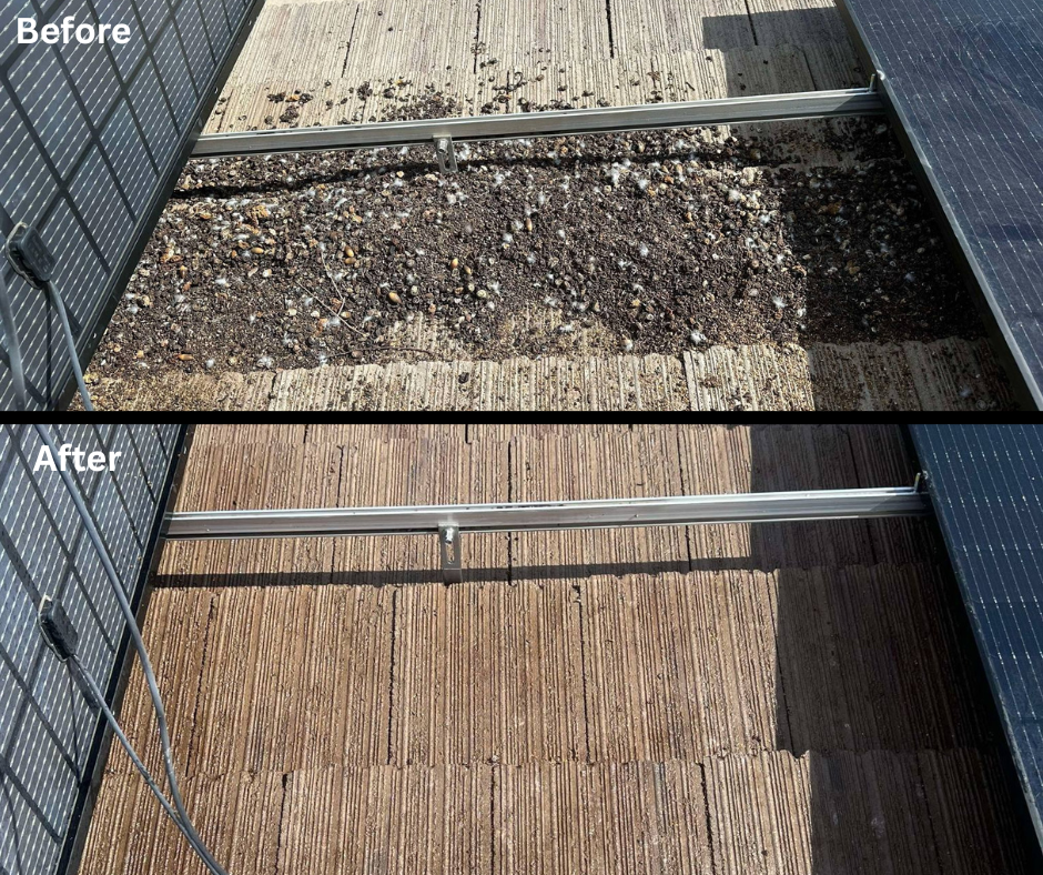 before and after solar panel cleaning service