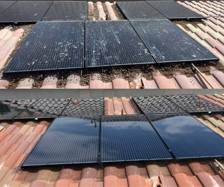before and after solar panel cleaning and bird netting service