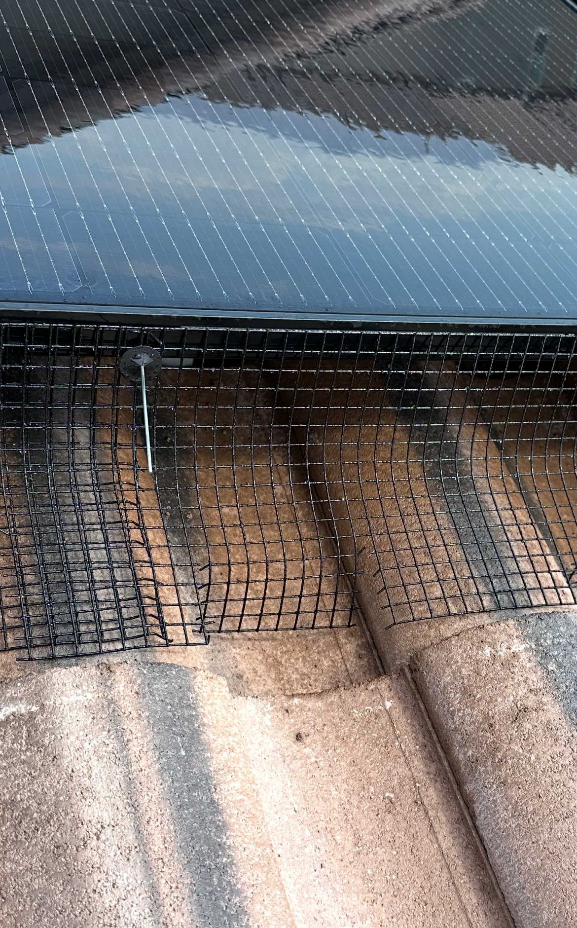 pigeon guard for solar panels