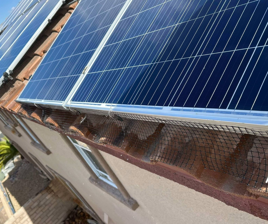 solar panel bird netting installed