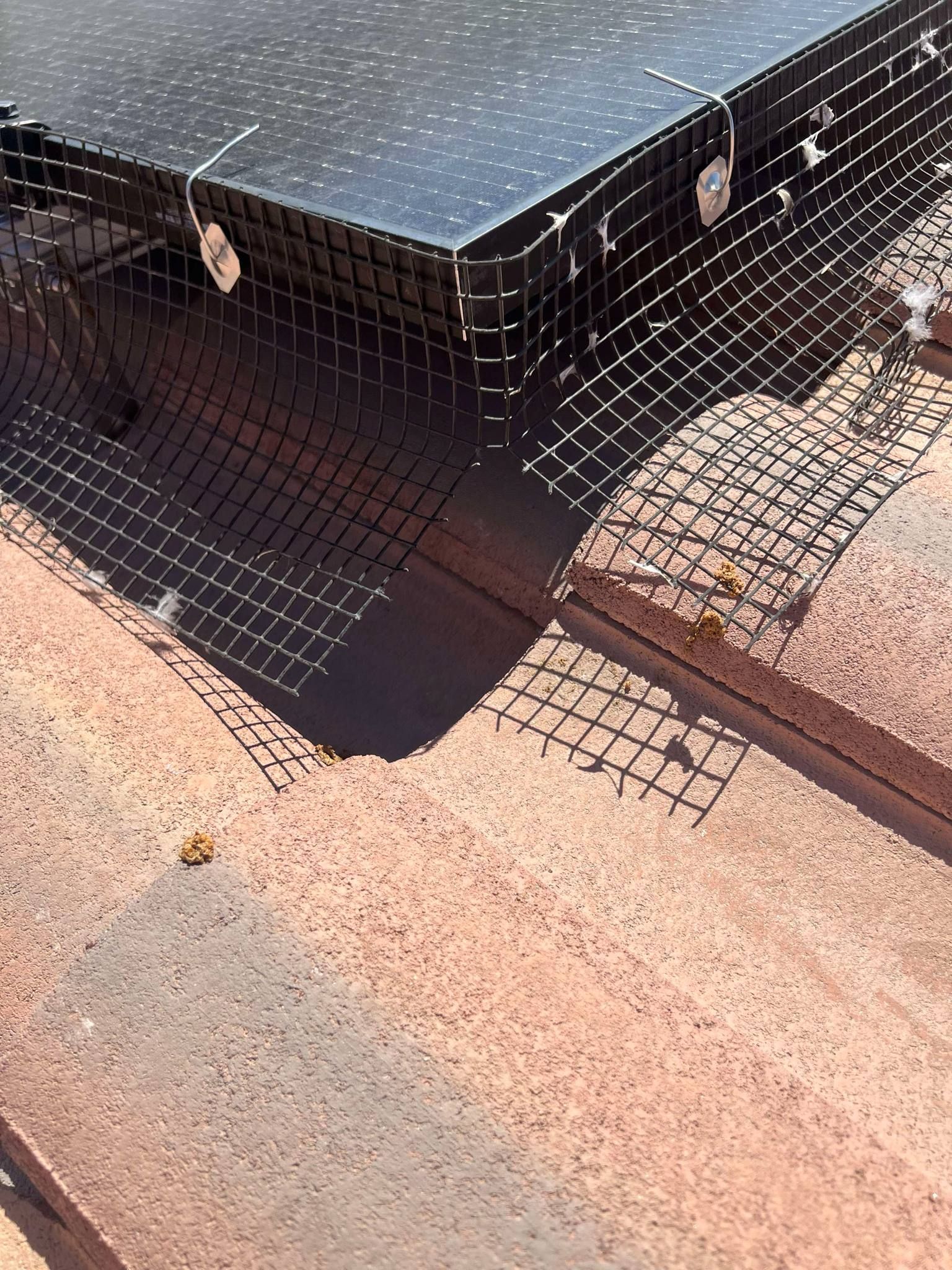gaps in bird net guards for solar