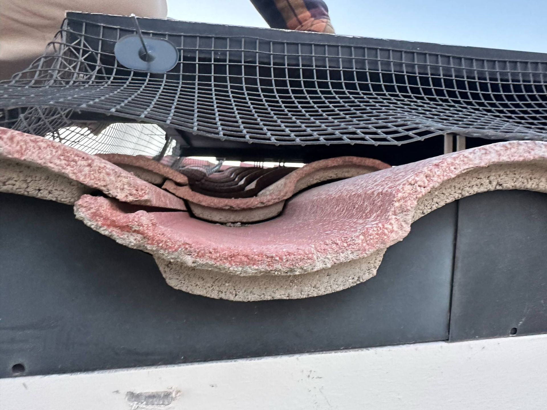 bird netting - low quality