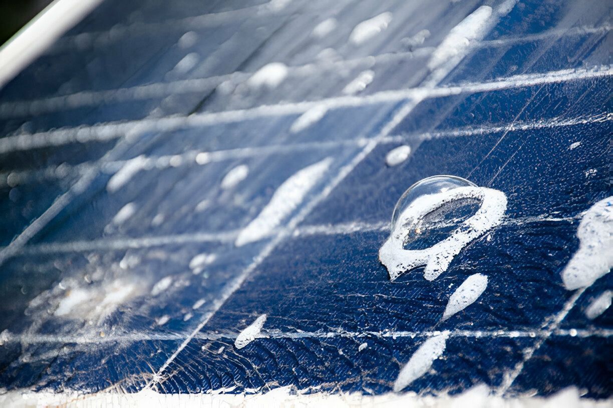 soupy solar panels 