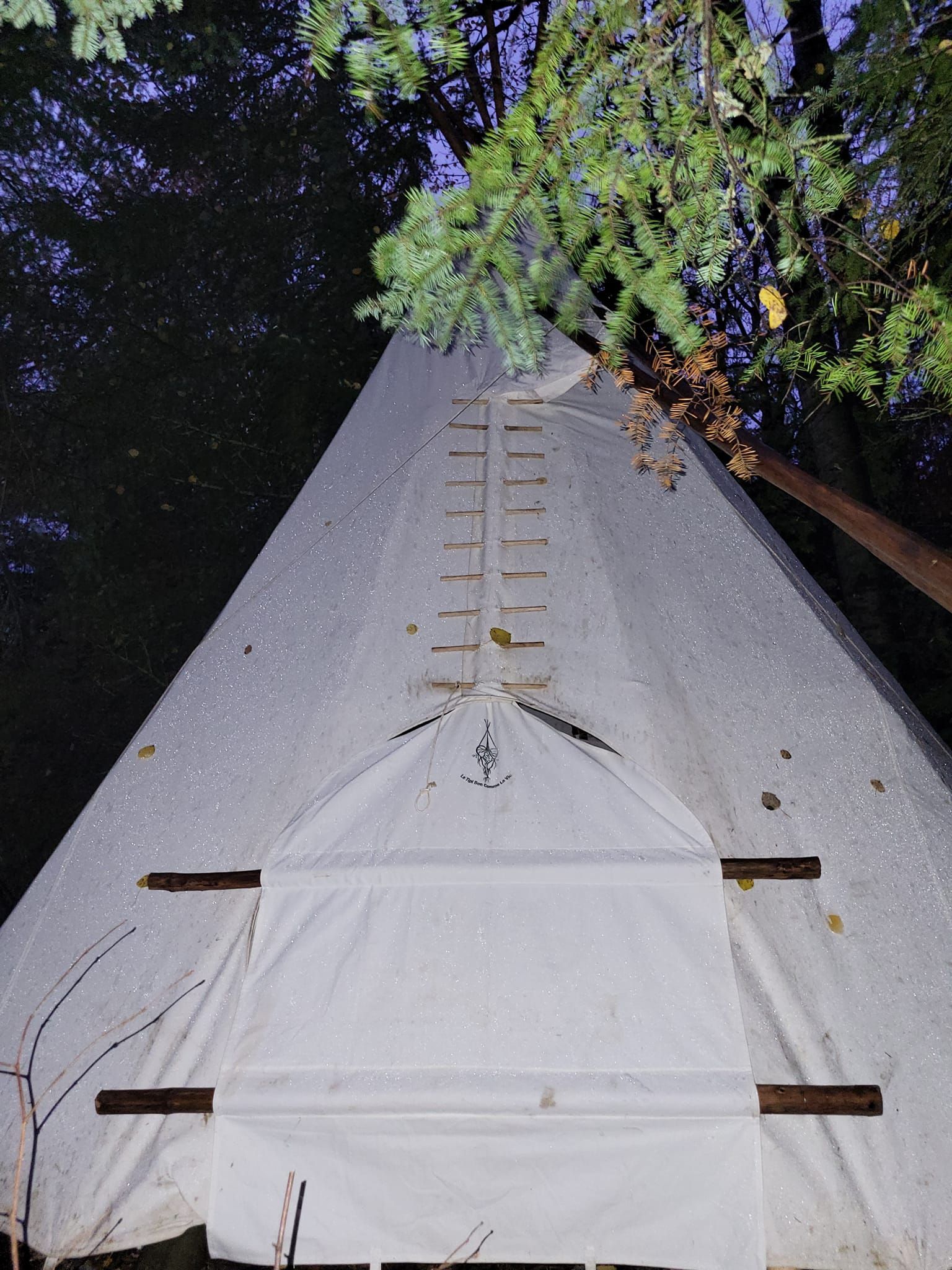 Tipi blanc dans une forêt, avec échelle et porte. Éclairé par les arbres qui le surplombent.