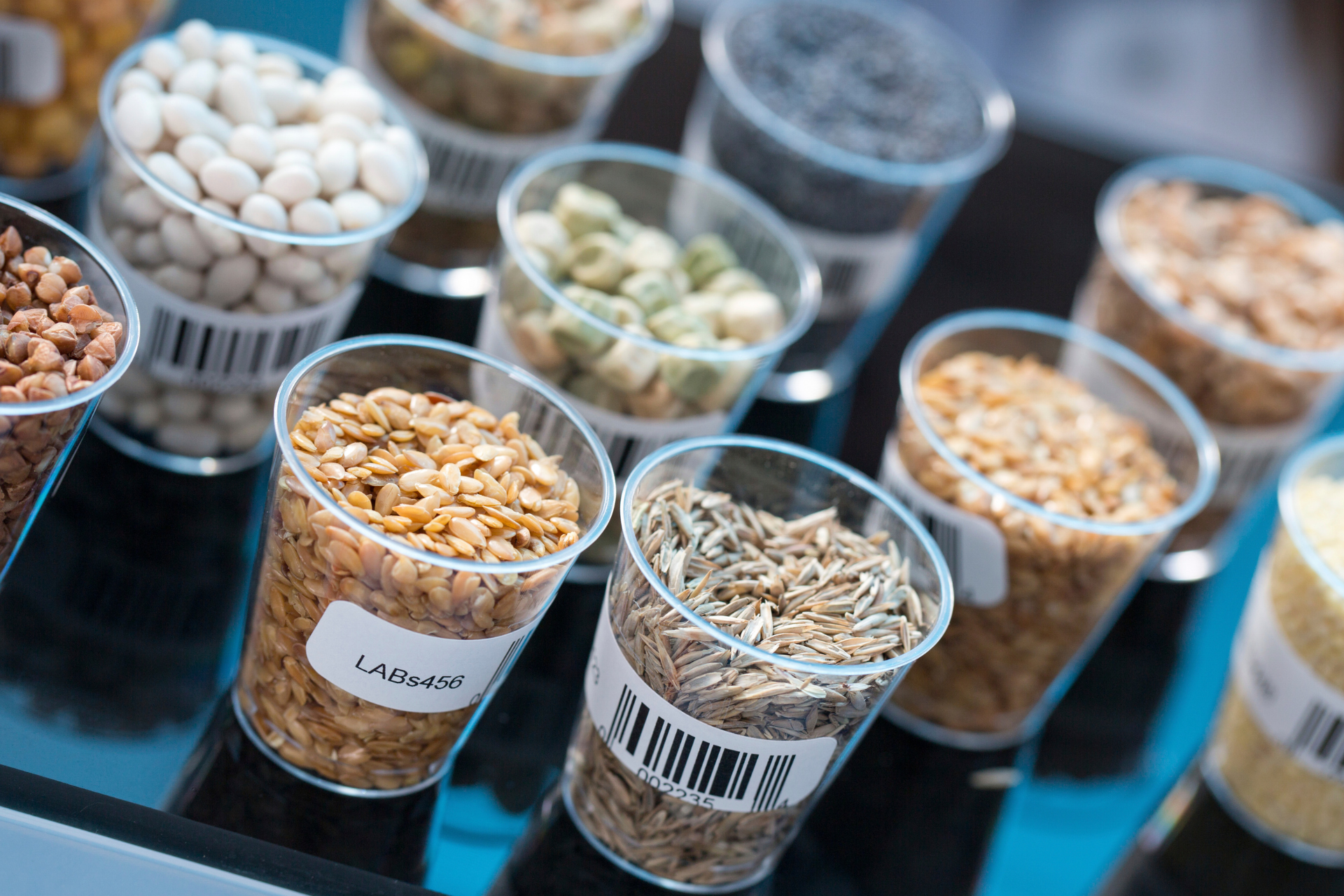 Close-up of assorted grains and seeds in clear plastic cups on a market display.