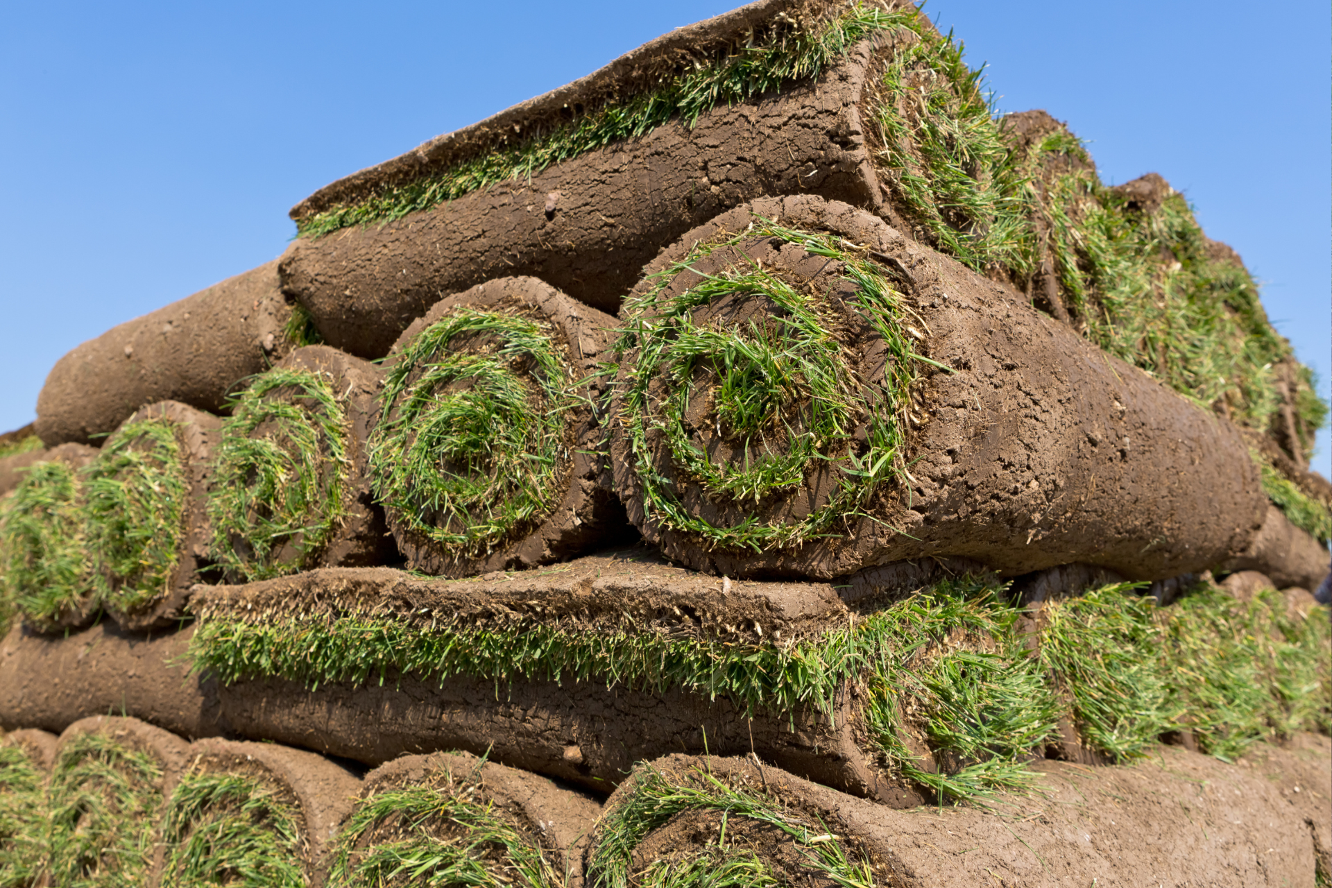 Stacked rolls of soil covered with green grass under a blue sky