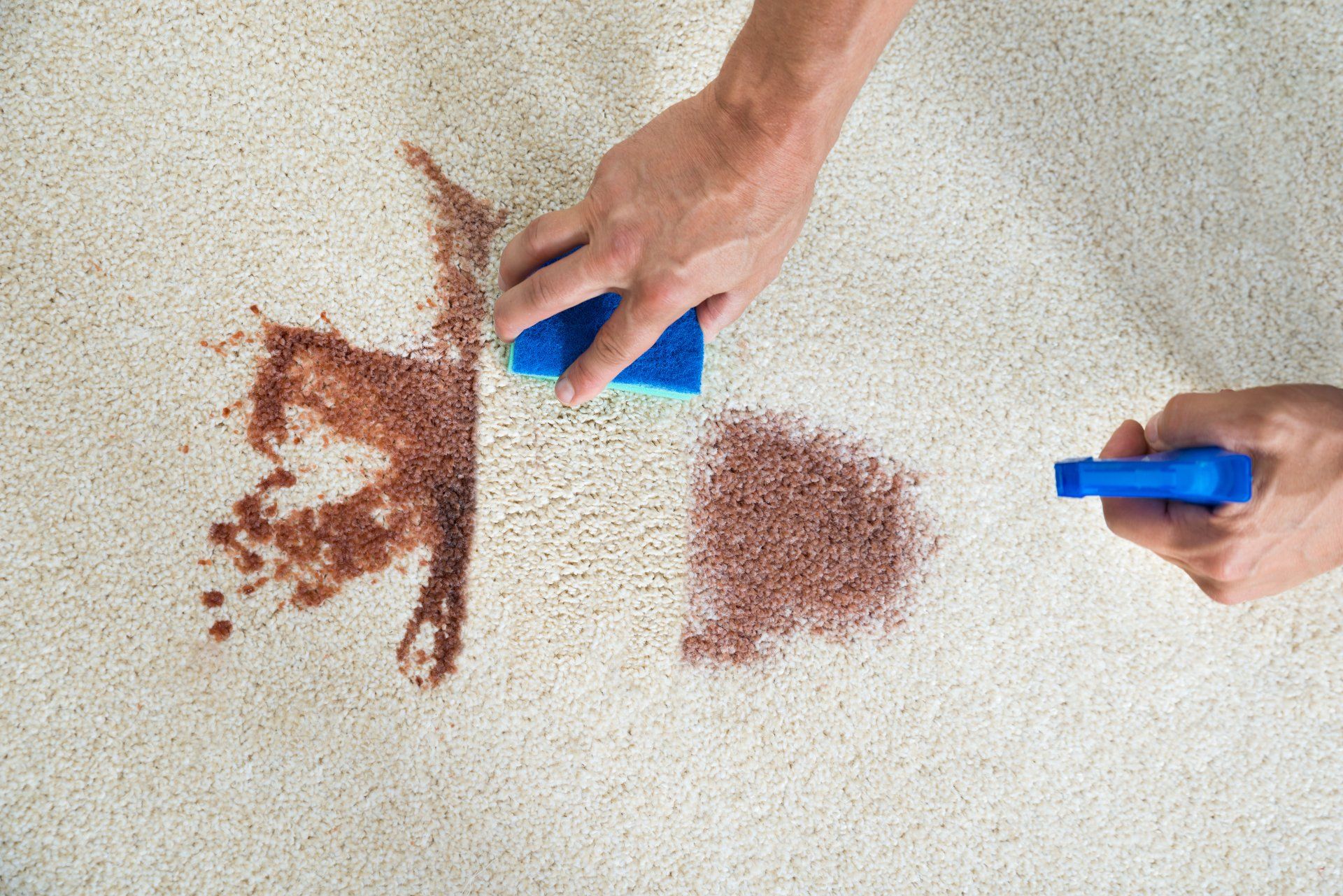 Non Toxic Carpet Cleaner