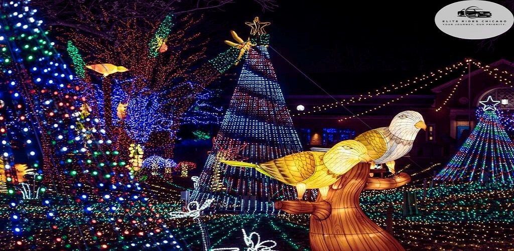 Lincoln Park ZooLights
