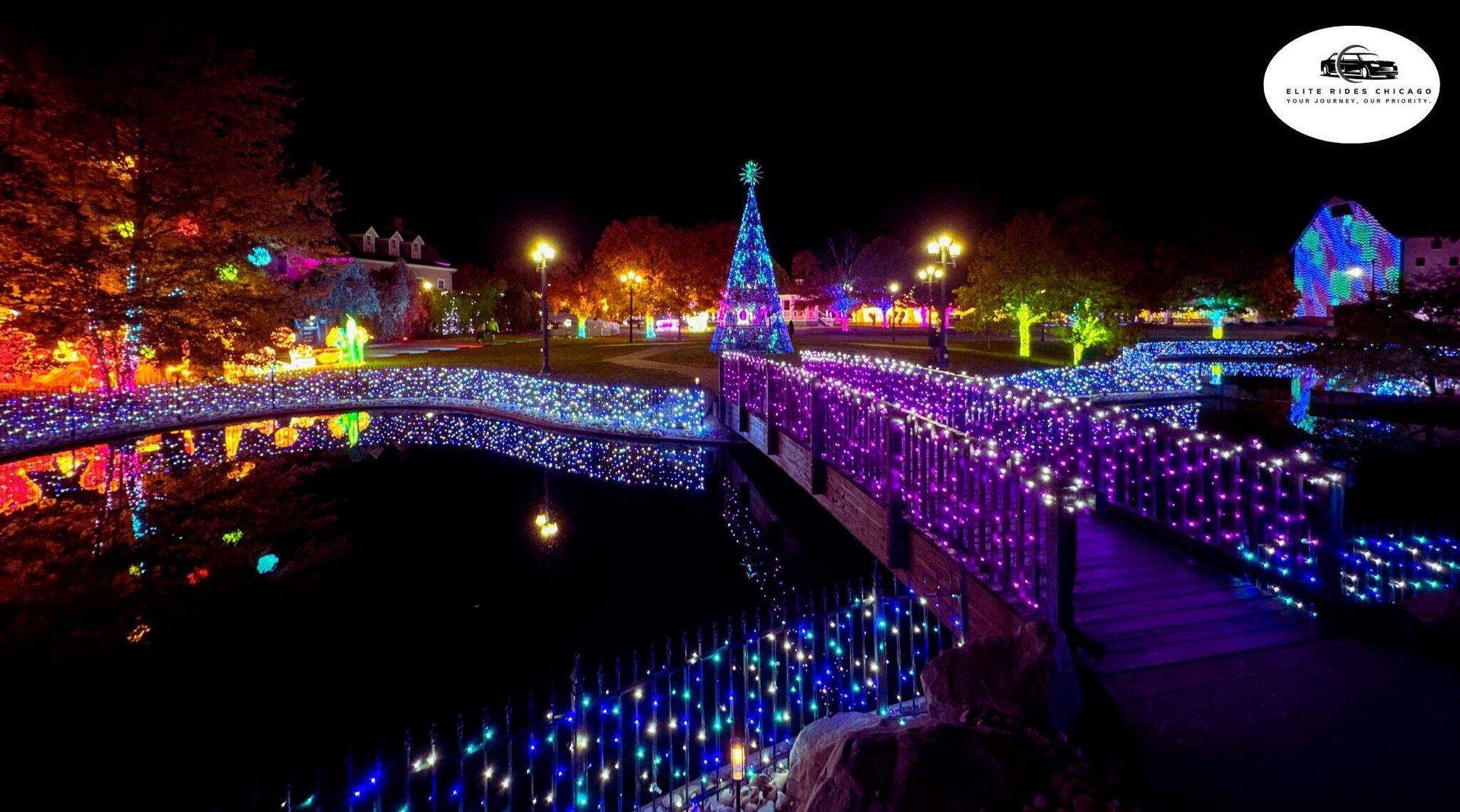 Marvel at the Dazzling Light Displays