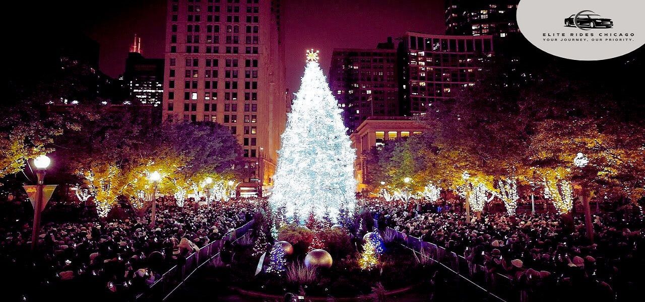 Millennium Park Christmas Tree