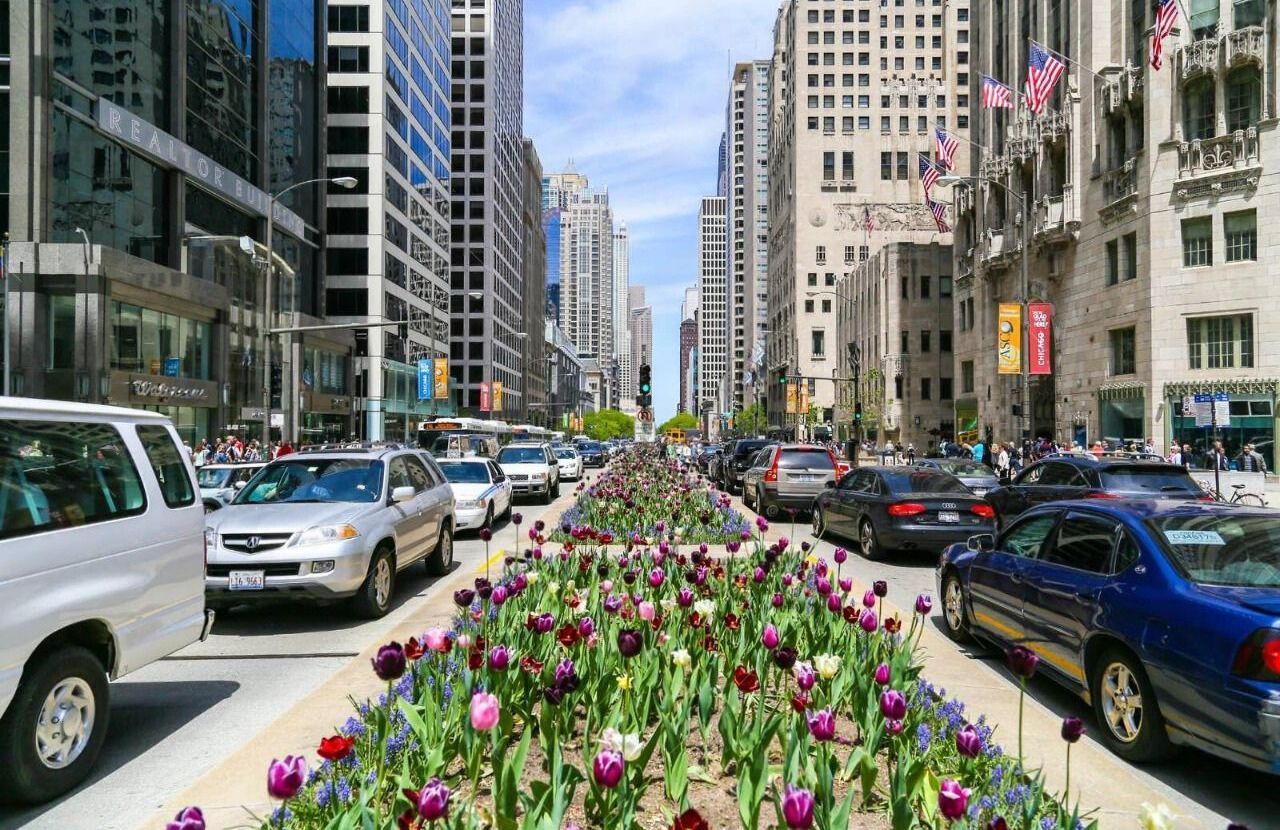 The Magnificent Mile