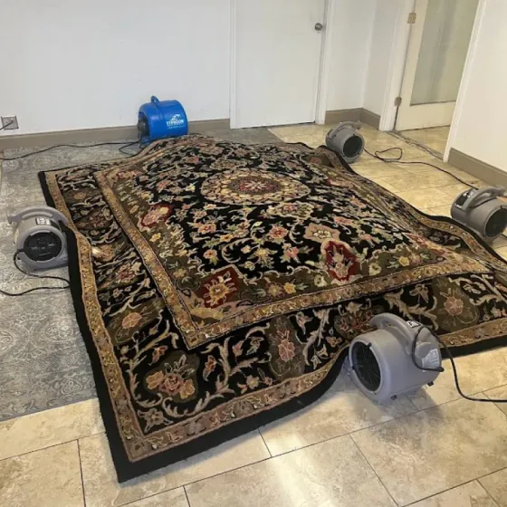 A rug is being blow dried in a room with fans