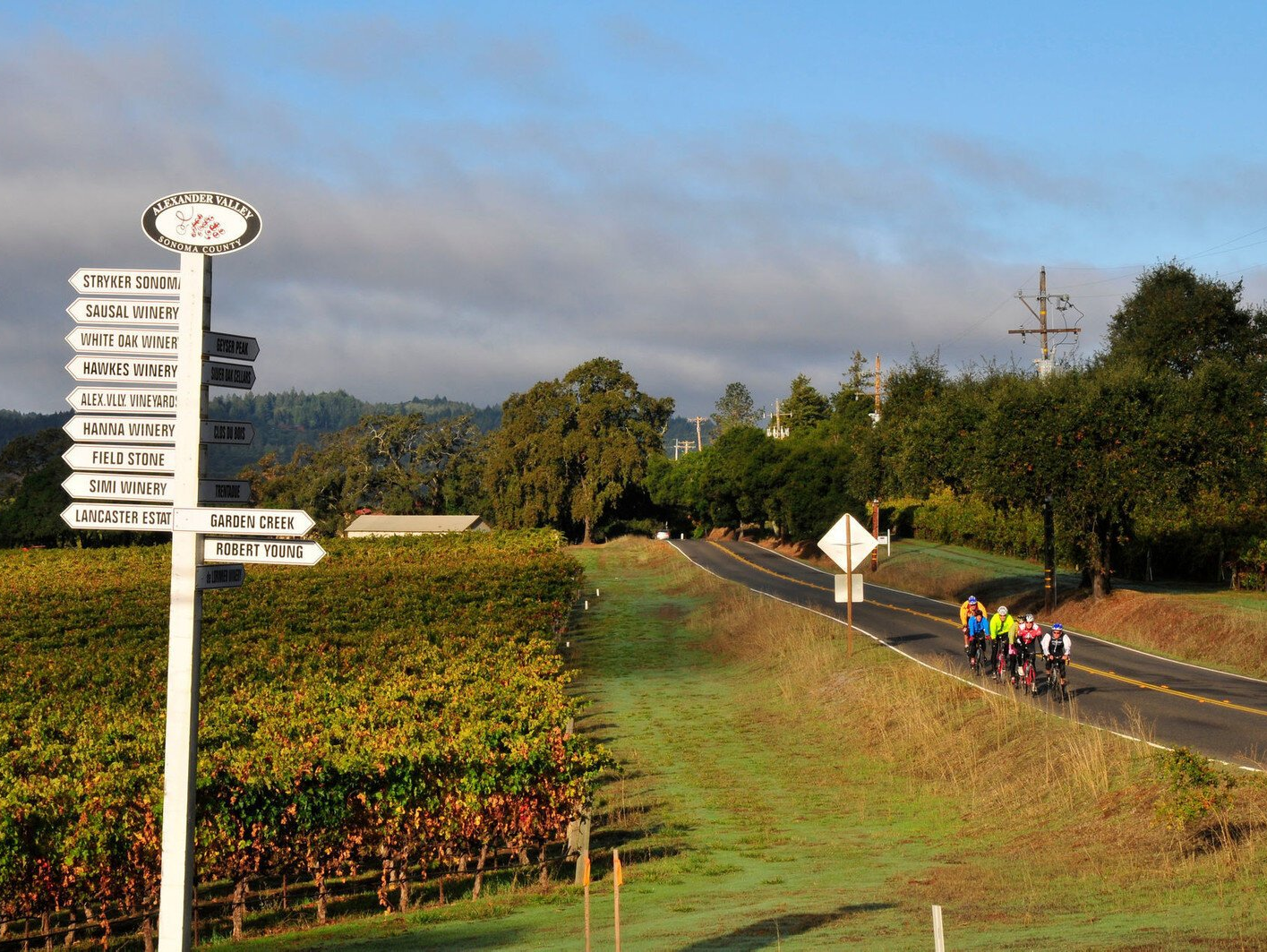 A group of people are riding bikes down a country road