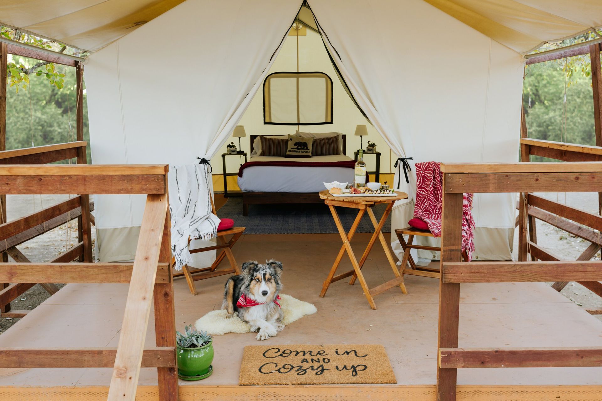 A dog is sitting on the floor in front of a tent.