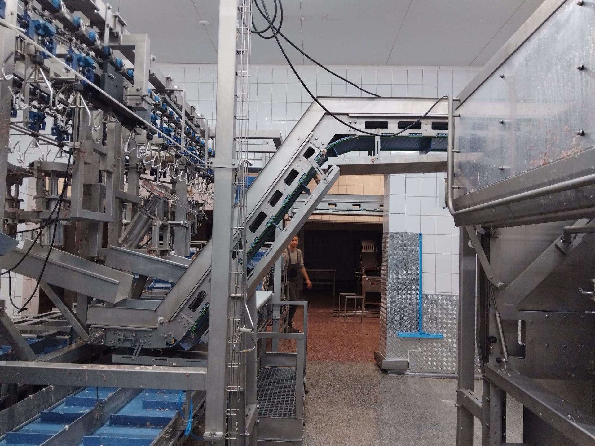 Inclined conveyor with full stainless steel housing – perfect for hygienic food processing environments