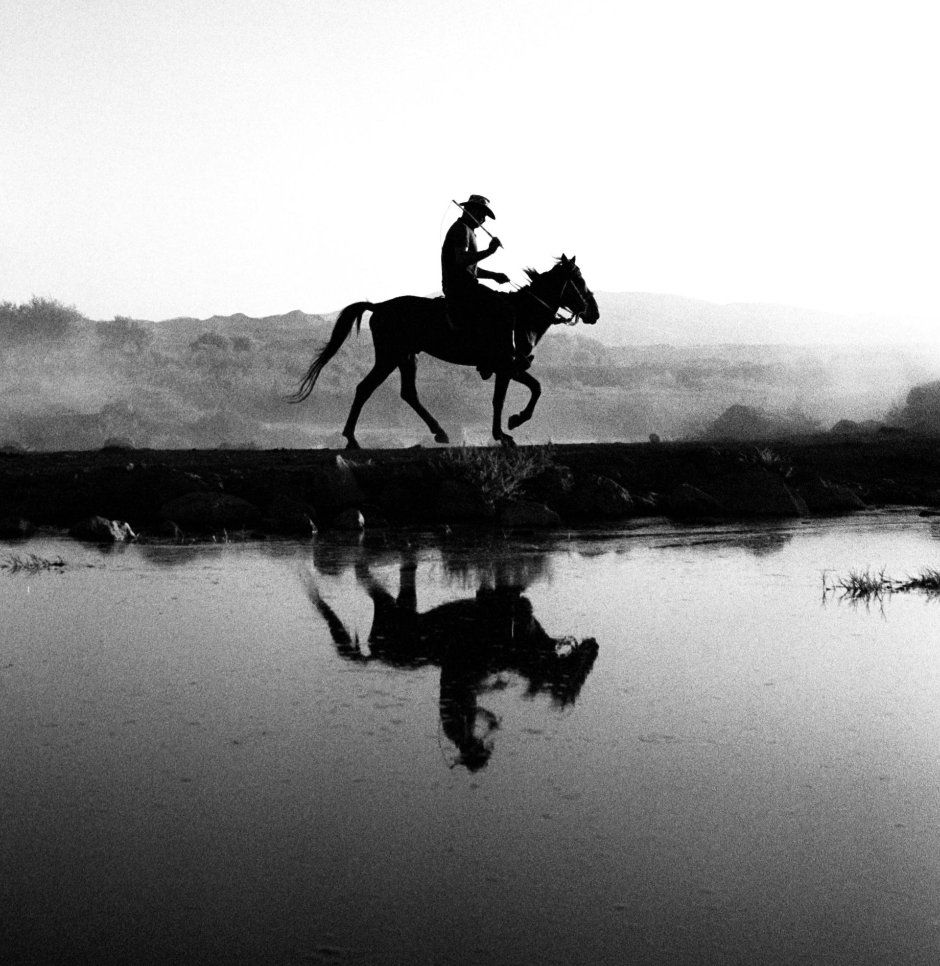 Silhouette of horse rider – symbol of equestrian lifestyle, stable systems, and DM TECHNIC agricultural solutions.