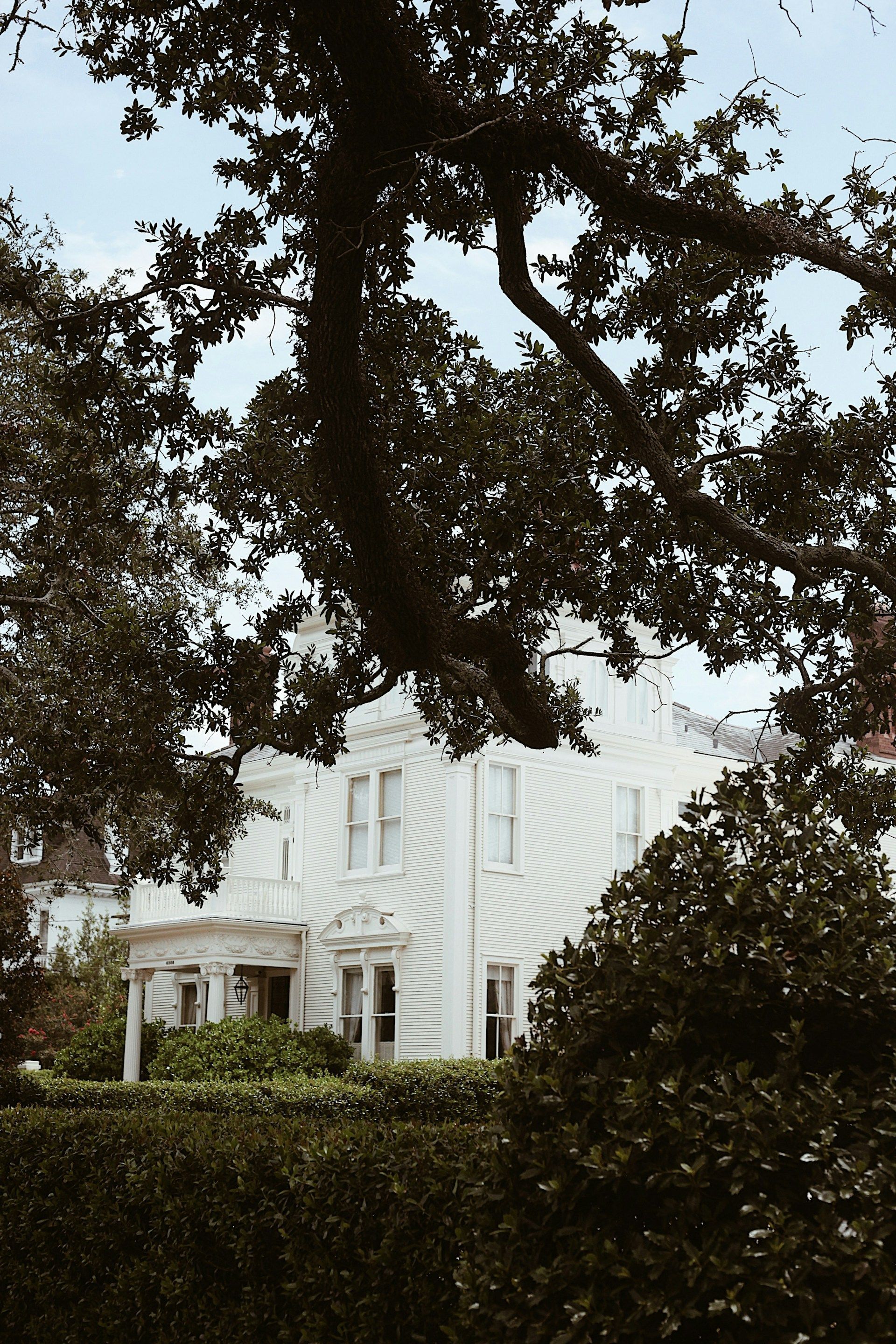 White house with striped siding, seen through tree branches and foliage.