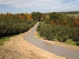 Concrete on Road