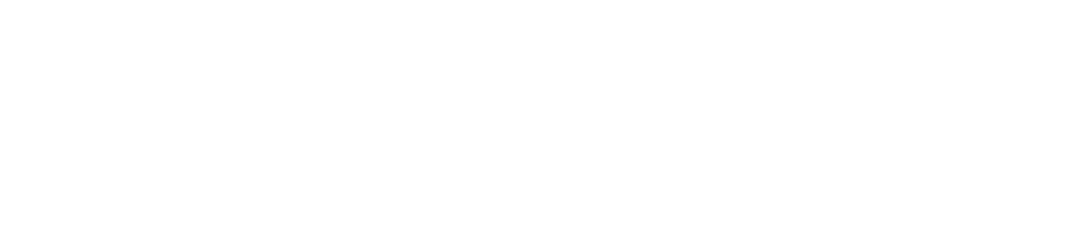 Thin horizontal black line near the center on a white background.