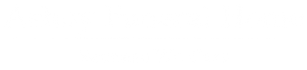 Thin horizontal black line near the center on a white background.