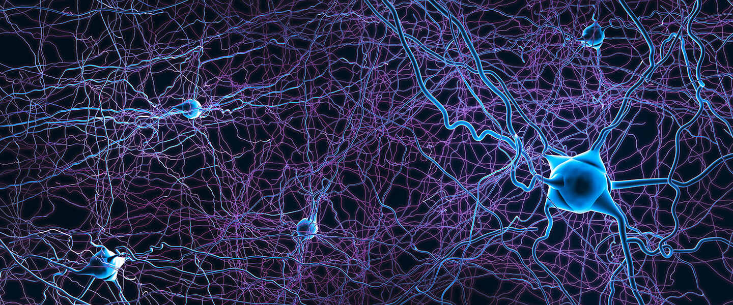 A close up of a brain with a lot of cells and a purple background.
