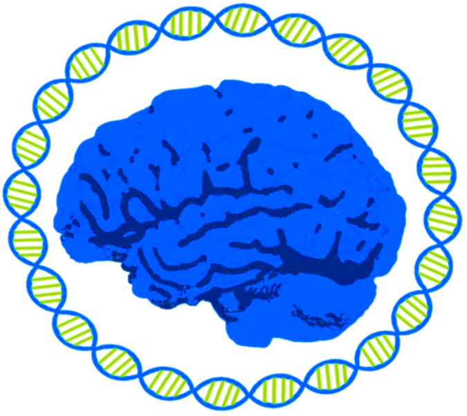 A blue brain is surrounded by dna molecules