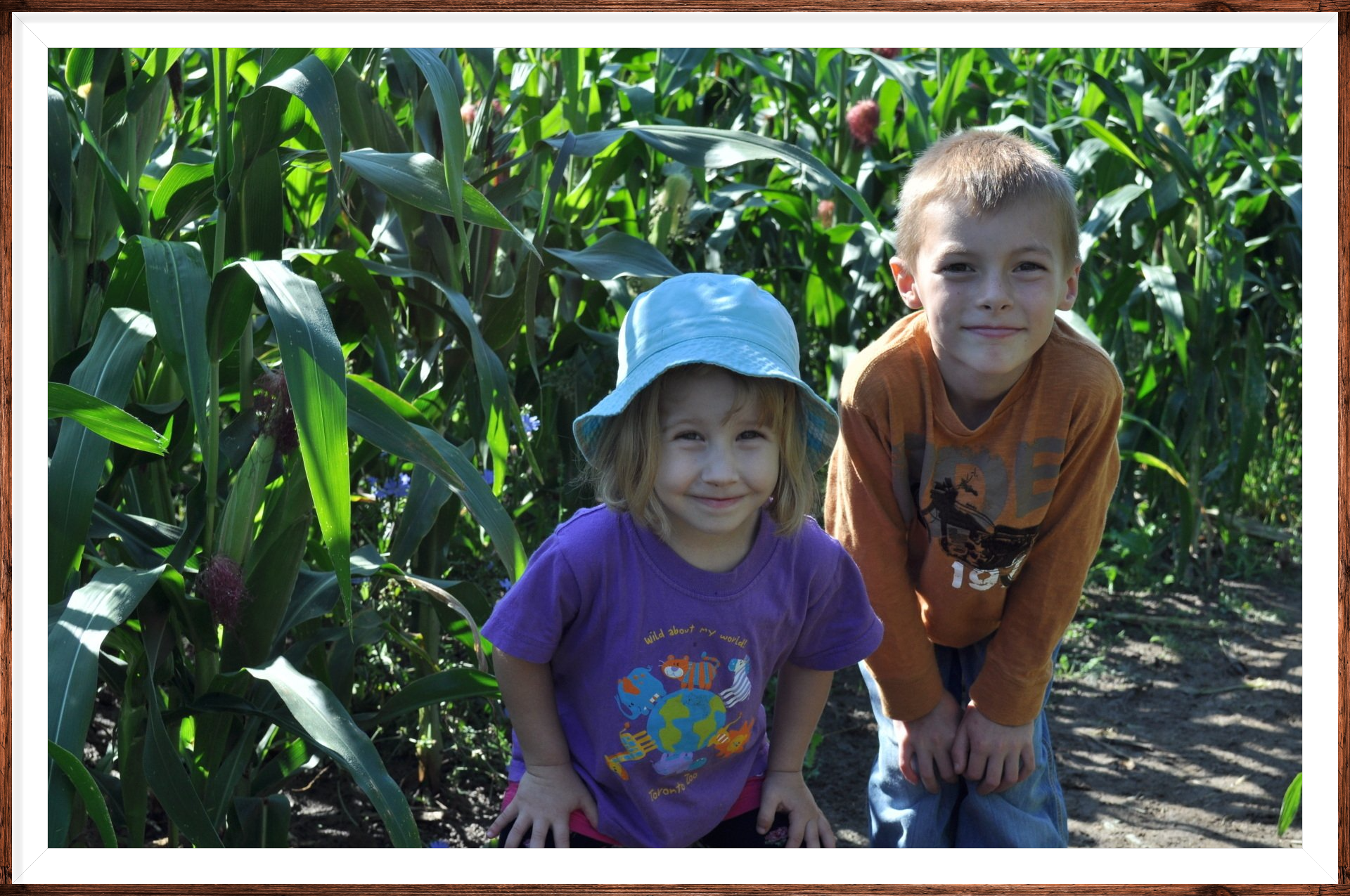 A boy and a girl are posing for a picture in a corn field