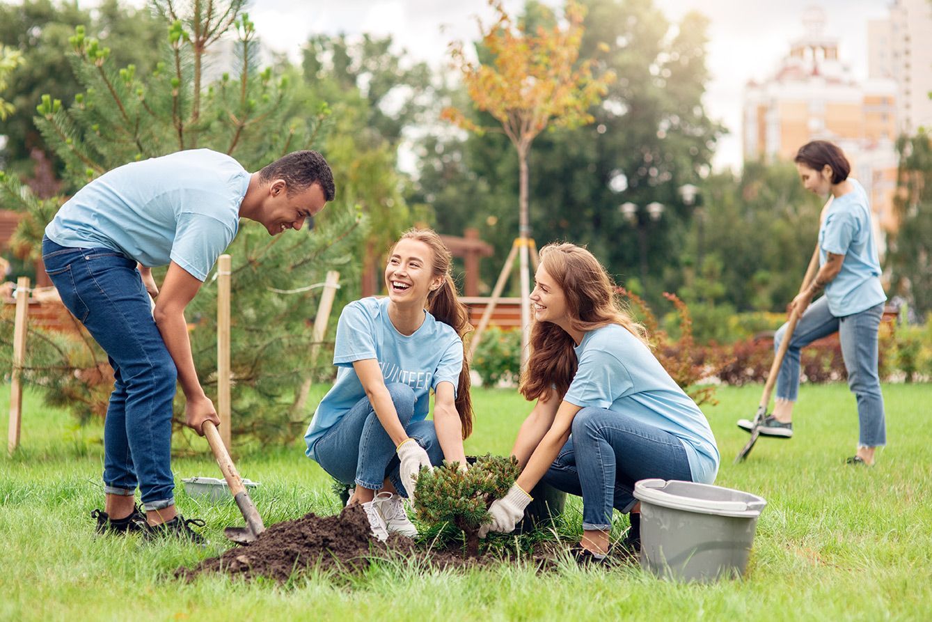 A group of people are planting trees in a park.