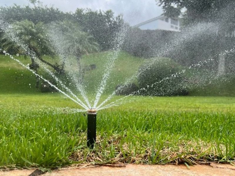 A sprinkler is spraying water on a lush green lawn.