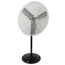 Pedestal Fan