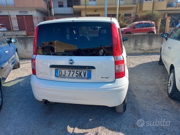 fiat bianca usata in vendita a Palermo