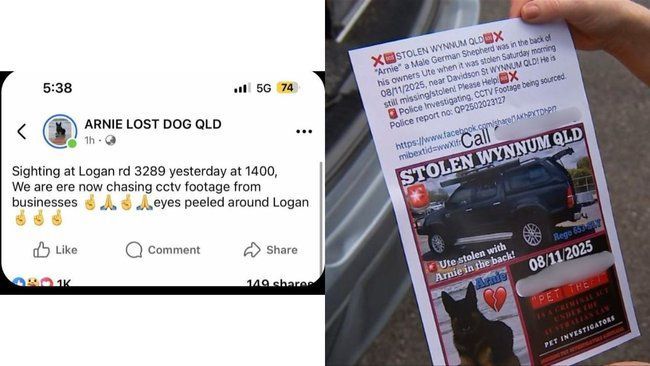 Left: Facebook post about a lost dog sighting in Logan, QLD. Right: Flyer with a photo of a stolen car, also in QLD.