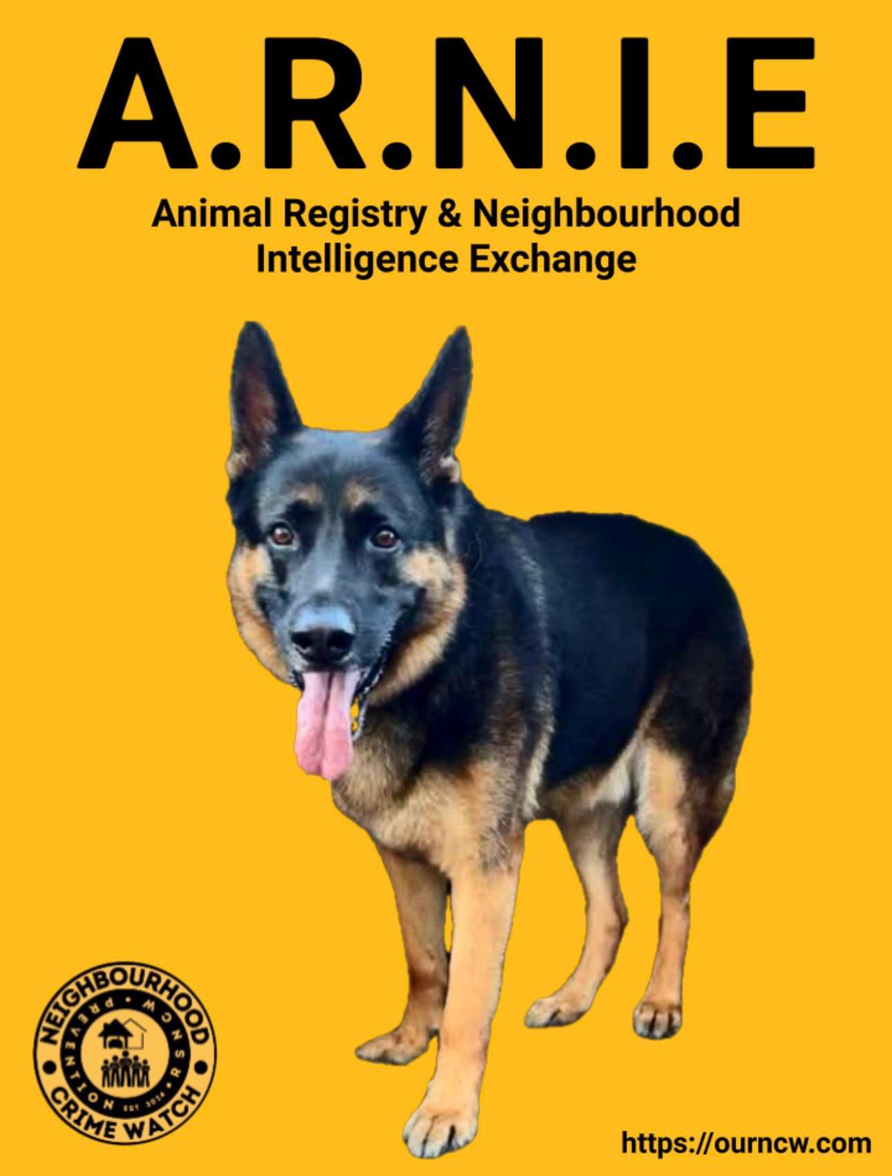 German Shepherd dog, yellow background, 