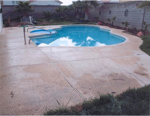 Pool with blue water and surrounding concrete patio. Green grass and palm trees are nearby.