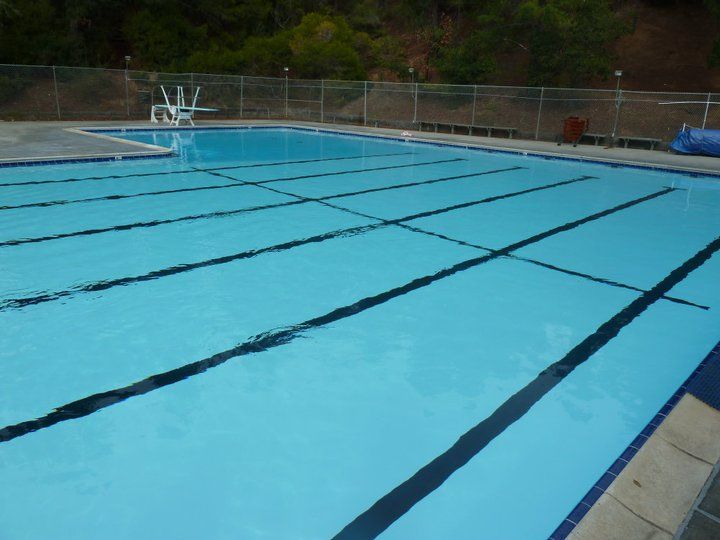 Swimming pool with blue water and black lane lines; diving board and fence in the background. Swimming pool with blue water and black lane lines; diving board and fence in the background.