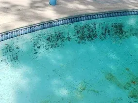 Backyard pool with blue tile interior next to a two-story beige house and patio furniture. Backyard pool with blue tile interior next to a two-story beige house and patio furniture.
