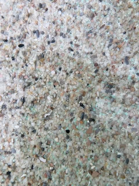 A fiberglass coated plaster pool full of water. A fiberglass coated plaster pool full of water.