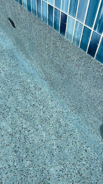 Pool with curved edges, blue water, stainless steel ladder, white coping, and concrete patio. Pool with curved edges, blue water, stainless steel ladder, white coping, and concrete patio.