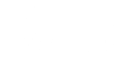 Blank white screen