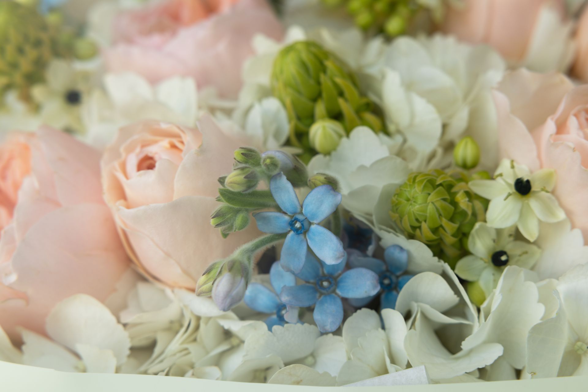 Pastel roses and blue flowers arranged in a soft floral bouquet