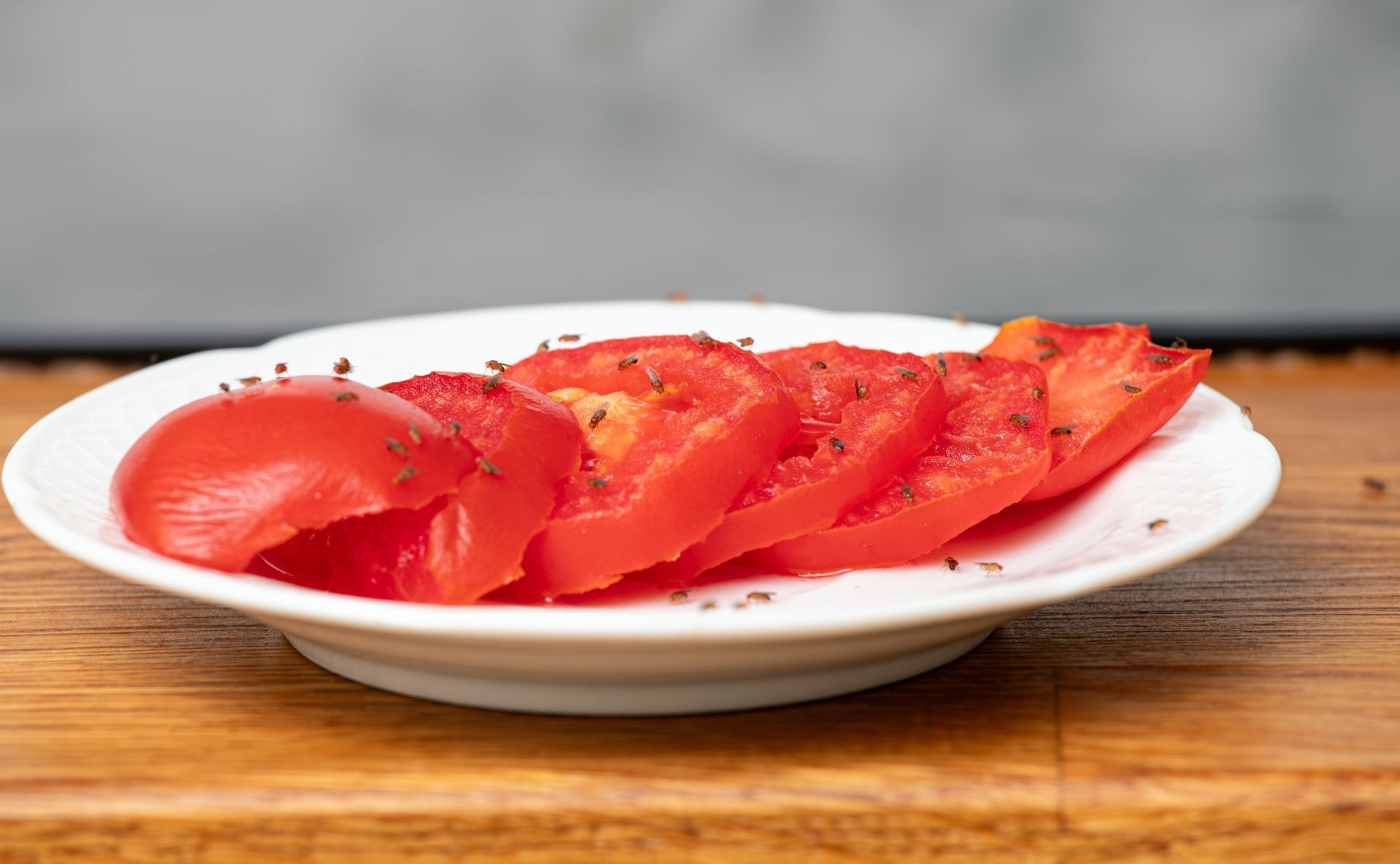 Slices of red tomato arranged on a white plate, sprinkled with seasoning, resting on a wooden surface.