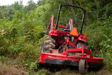 A red tractor with a rear rotary mower clearing tall brush and trees in a field.
