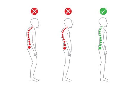 A Drawing of a Person 's Spine in Different Positions — Anderson Family Chiropractic Health Centre in Mount Pleasant, QLD