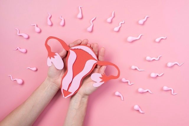 contraception naturelle grossesse