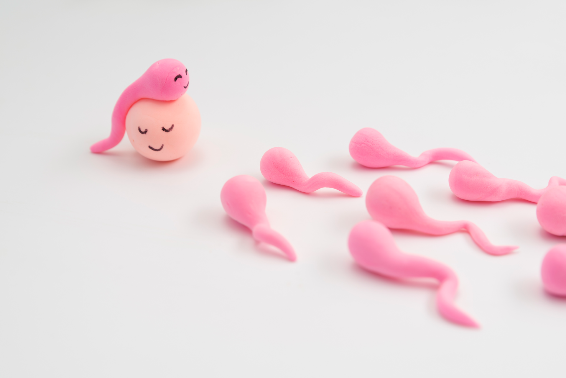 Symptohermie Sensiplan fertilité