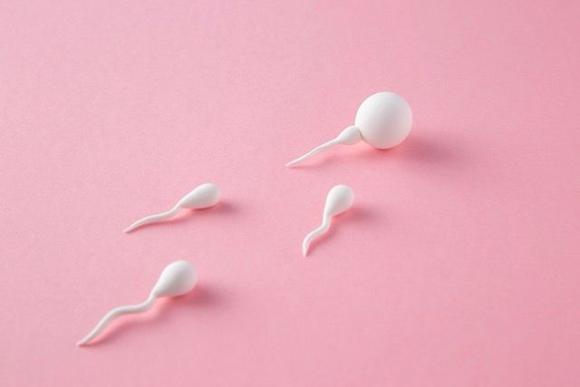 Symptohermie Sensiplan fertilité