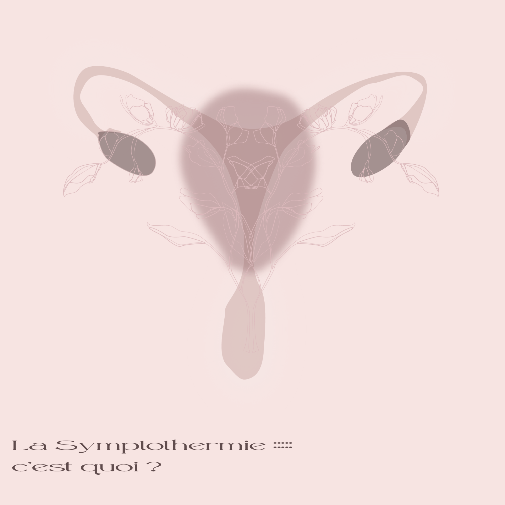 Fertilité grossesse symptothermie